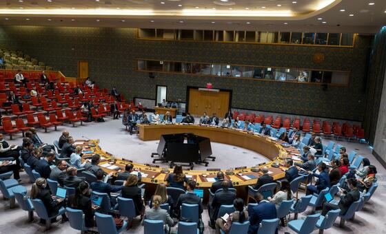 مجلس الأمن الدولي.